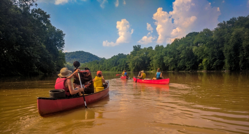 Three canoes are paddled away from the camera by young people wearing life jacket. The river is muddy and lined by thick trees. 